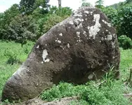 DSC09306.webp