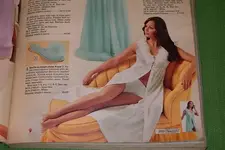 sears 002.webp