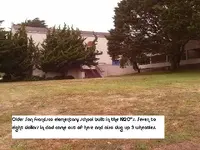 S.F. Finds 8--4-11 007.webp