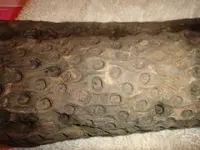 petrified closeup.webp