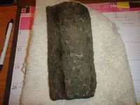petrified clu3.webp