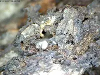 Silver Crystals 2.webp