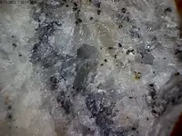 Silver in quartz.webp