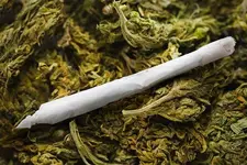 SS_Marijuana_products_paper.webp