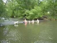 Summertime 005.webp