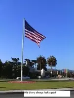 S.F. Park Finds 8-13-11 012.webp
