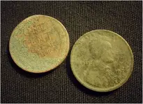 1945 and 1924 wheats.webp