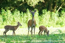 DSC05505.webp