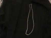 SILVER CHAIN  JULY27 001.webp