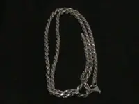 SILVER CHAIN  JULY27 002.webp