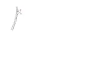 x5L.webp