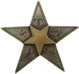 Texas Confederate Star Hat Pin.webp
