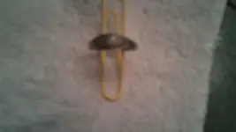 100_0146.webp