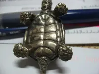 005.webp