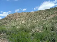 DSCF1157.webp