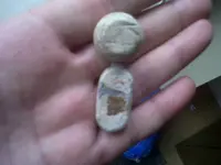 IMG00275-20110728-1138.webp