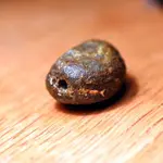 NH FINDS 07-08 013.webp