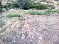 SITE34.webp