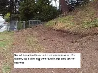 S.F. Finds 6-17-11 007.webp