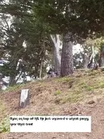 S.F. Finds 6-17-11 008.webp