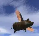 pig with wings.webp