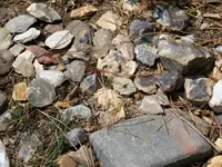 100_7668.webp