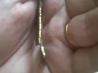 IMG00104-20110618-1319.webp