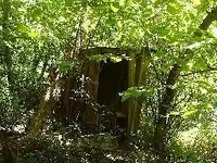 Picture_001.webp