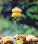 maizepic.webp
