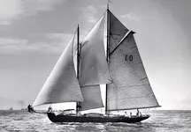 Malabar X rosenfield.webp