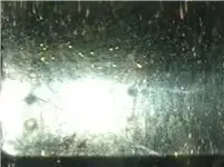 LA gold 1.webp