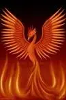 phoenix.webp phoenix.webp