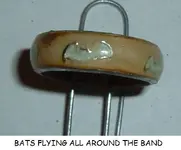 DSCF0451.webp