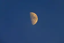 late afternoon moon.webp