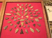 Tray 3.webp