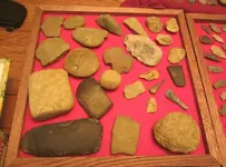 Tray 5.webp