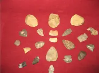 Tray 8.webp