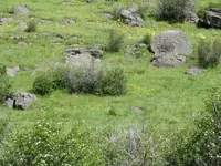 Wagon Bolen Crack Rock 2.webp