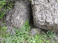 Wagon Bolen Crack Rock 4.webp