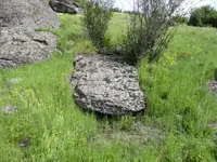 Big Treasure Rock 1.webp