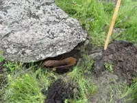 Big Treasure Rock 3.webp