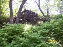 100_1692 - Copy.webp