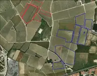 banner fields.....webp