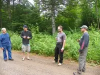 100_0334.webp