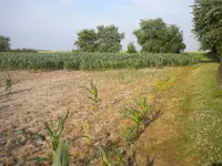 DSCN0755.webp