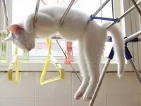 Relaxing #1.webp