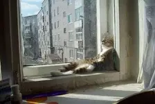 Relaxing #2.webp