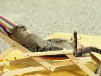 Relaxing #4.webp