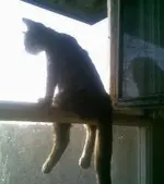 Relaxing #6.webp