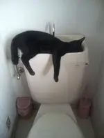 Relaxing #7.webp